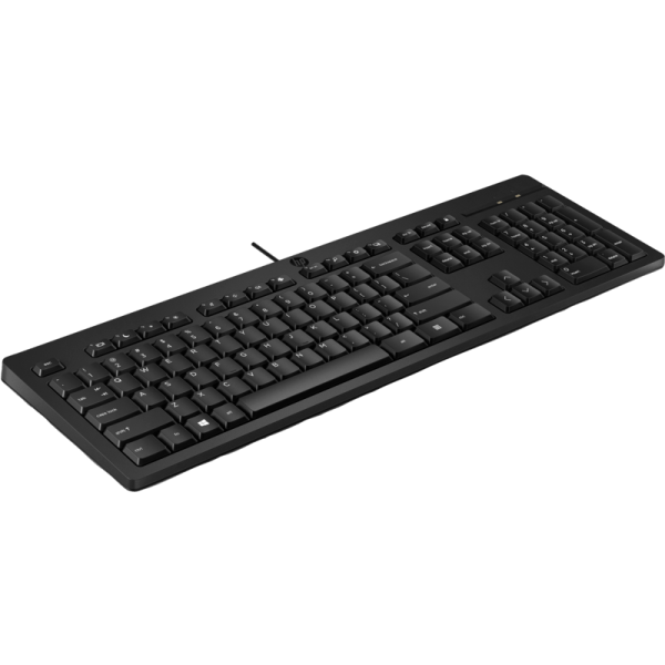 HP 125 Wired Keyboard (266C9AA) For Sale