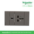 Schneider AvatarOn A 16A 250V International socket with USB charger Black A70426USB-IS-BK For Cheap