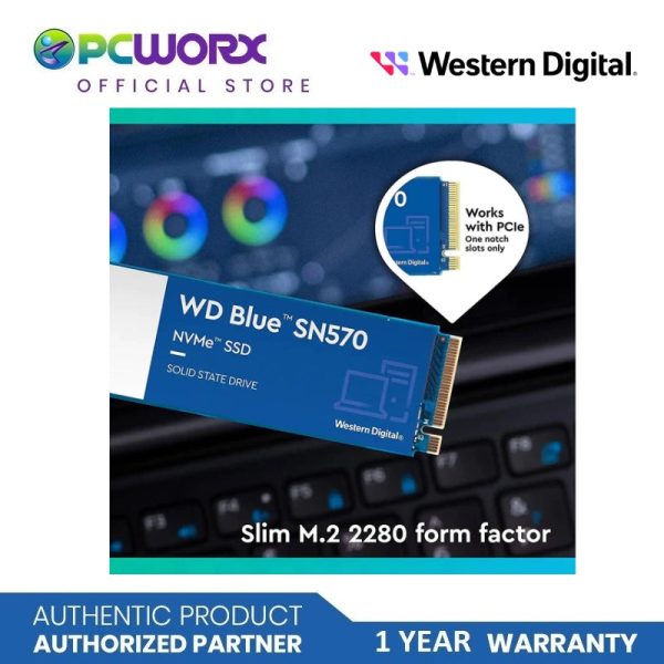 Western Digital WDS250G3B0C SN570 Blue M.2 NVMe PCIe Gen3 2280 SSD | 250GB, 500GB, 1TB | Solid State Drive | Western Digital SSD Fashion