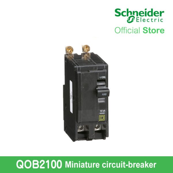 Schneider Mini Circuit Breaker QO 100 A 2P 120 240 V 10 kA Bolt On QOB2100 For Cheap