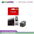 Canon PG-810 Black and Canon CL-811 Colored Ink Cartridge Online