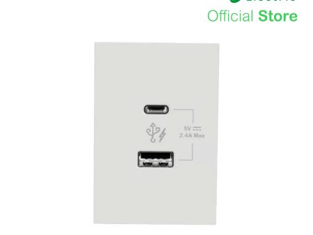 Schneider AvatarOn A 2 USB port 5 V AC-DC USB Charger Outlet - WHITE M3T-USB2-WE | USB Outlet For Sale