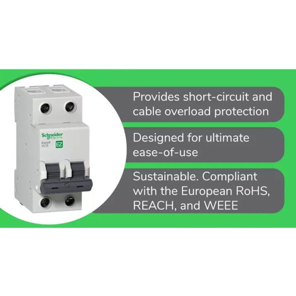 Schneider Easy9 IEC 2P 63A C DIN-Rail Type Miniature Circuit Breaker 230V 6kAIC EZ9F56263 Online now