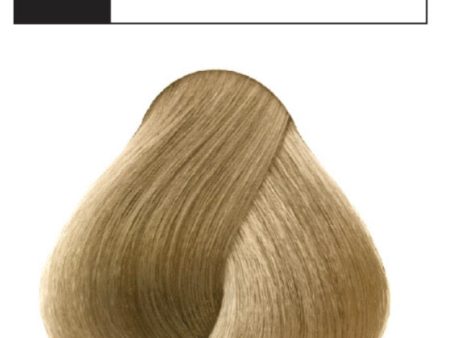 10 NATURAL PLATINUM BLOND JSENSE For Sale